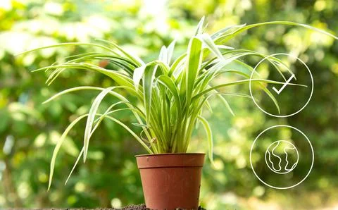 An Eco technology or environmental technology concept with environment Icons Stock Photos