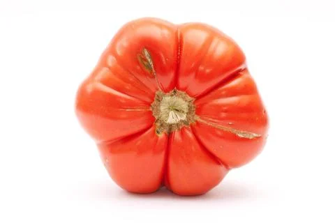 Eco tomato Stock Photos