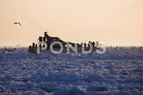 Eco-Tourists Photographing Eagles From Boat, Nemuro Channel, Rausu, Hokkaido,