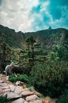 Eco-trail in the forest 스톡 사진