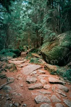 Eco-trail Foto stock