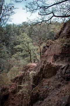 An eco-trail 스톡 사진