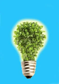 Eco tree lightbulb Stock Illustration