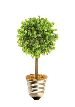 Eco tree lightbulb Foto stock