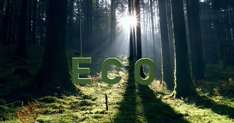 ECO words swing on the string in magic forest fairy tale sunligt Stock Footage 344145216