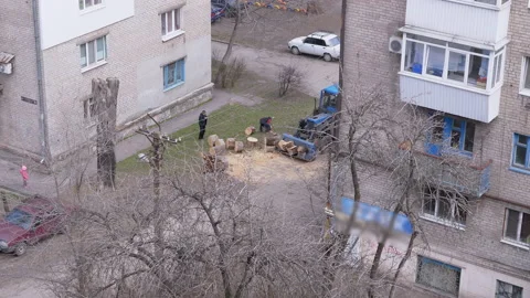 Eco-Workers, Using a Tractor with a Large Bucket, Remove Sawning Trees, Stumps Stock Footage 151640428