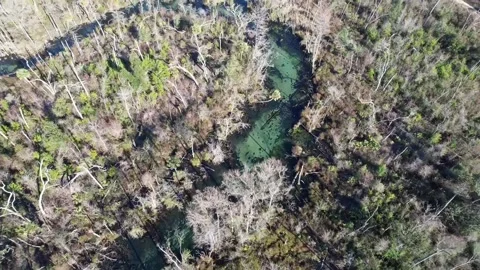 Ecofina River Stock Footage 228707436