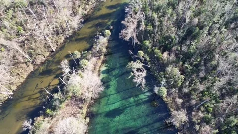 Ecofina River Stock Footage 228707437