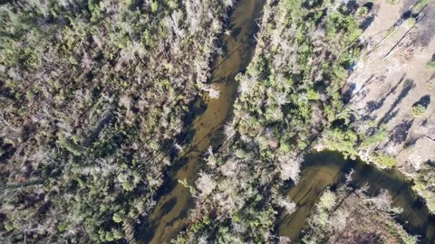 Ecofina River Stock Footage 228708259