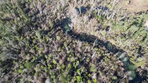 Ecofina River Stock Footage 228708267