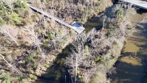 Ecofina River Stock Footage 228708270