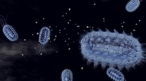 Ecolie bacterium in 3D, Computer Animation Stock Footage 62022972