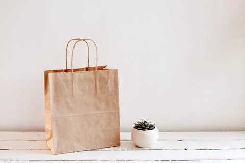 Ecologic craft package and succulent. Stock Photos