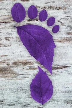 Ecologic footprint Stock Photos