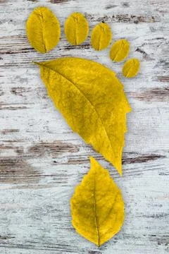 Ecologic footprint Stock-Fotos