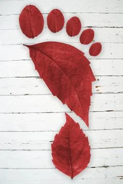 Ecologic footprint Stock Photos