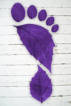 Ecologic footprint Foto stock