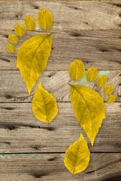 Ecologic footprint Stock Photos