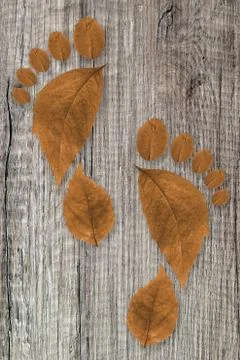 Ecologic footprint Stock-Fotos