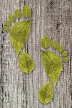 Ecologic footprint Stock Photos