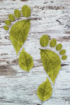 Ecologic footprint Stock-Fotos