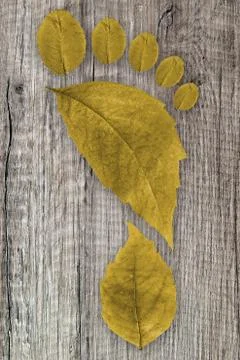 Ecologic footprint Stock Photos