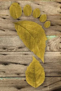 Ecologic footprint Stock Photos