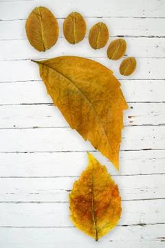 Ecologic footprint Stock Photos