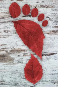 Ecologic footprint Stock-Fotos