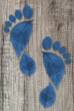 Ecologic footprint Stock Photos