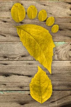 Ecologic footprint Stock Photos