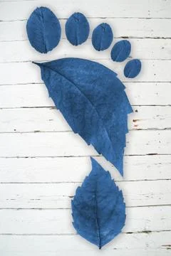 Ecologic footprint Stock Photos