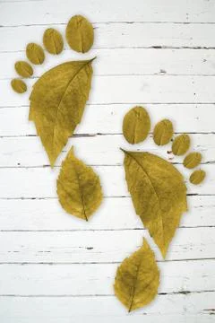 Ecologic footprint Stock-Fotos