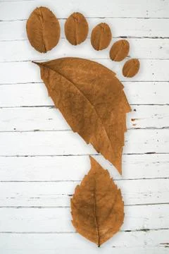 Ecologic footprint Stock Photos