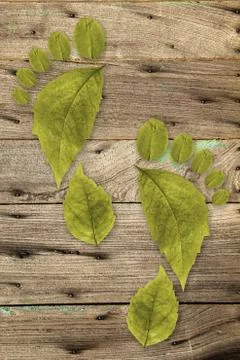 Ecologic footprint Stock-Fotos