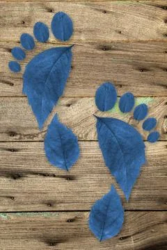 Ecologic footprint Stock-Fotos