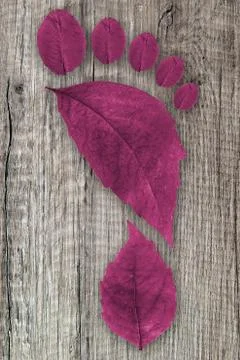 Ecologic footprint Stock Photos