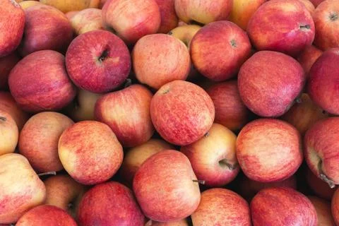 Ecologica apples Photos