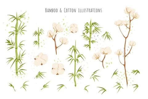 Ecological and eco friendly textile sourses - cotton brunches and flowers Stock Illustration