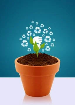 Ecological awareness concept Stock Photos