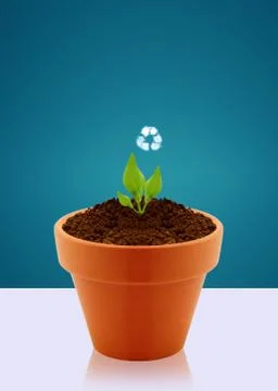Ecological awareness concept Stock Photos