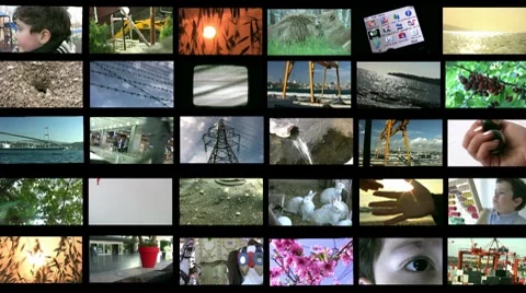 Ecological balance 스톡 동영상 7760729