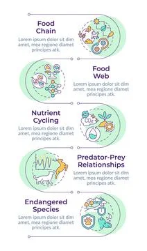 Ecological balance infographic vertical sequence Illustrazione stock