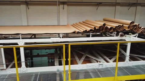 Ecological biodegradable package from recycled materials. Technological process Stock Footage 282669142