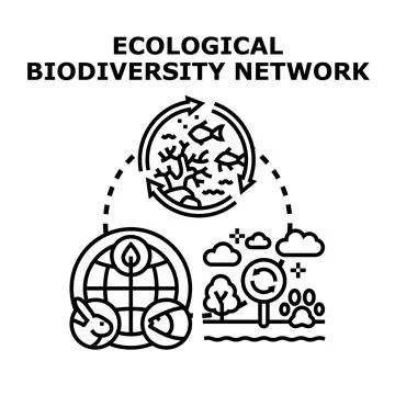 Ecological biodiversity network connecting diverse global ecosystems Stock Illustration