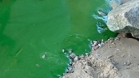Ecological catastrophe. Water pollution Stock Footage 78729613