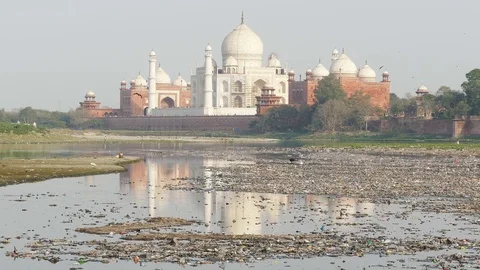 Ecological Concept Agra India Pollution Eagles 4k Video stock 81197529