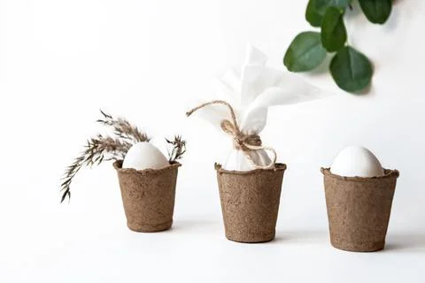 Ecological concept with Easter white eggs in peat pots on a white background. Stock Photos