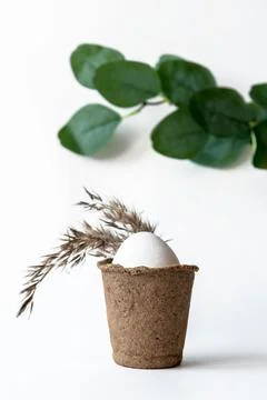 Ecological concept with Easter white eggs with an olive branch. Foto stock