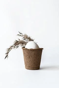 Ecological concept with Easter white eggs with pampas grass. Stock Photos